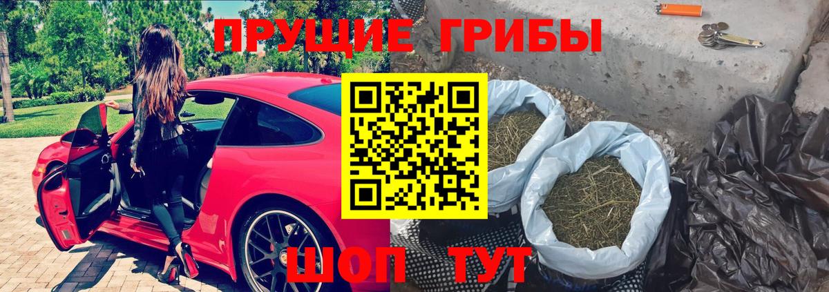 закладка  Галлюциногенные грибы ЛСД  Вход с VPN  Новокуйбышевск 