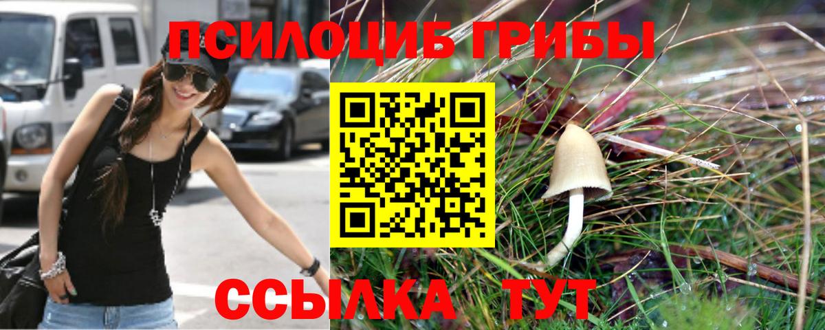 Псилоцибиновые грибы Magic Shrooms Новокуйбышевск